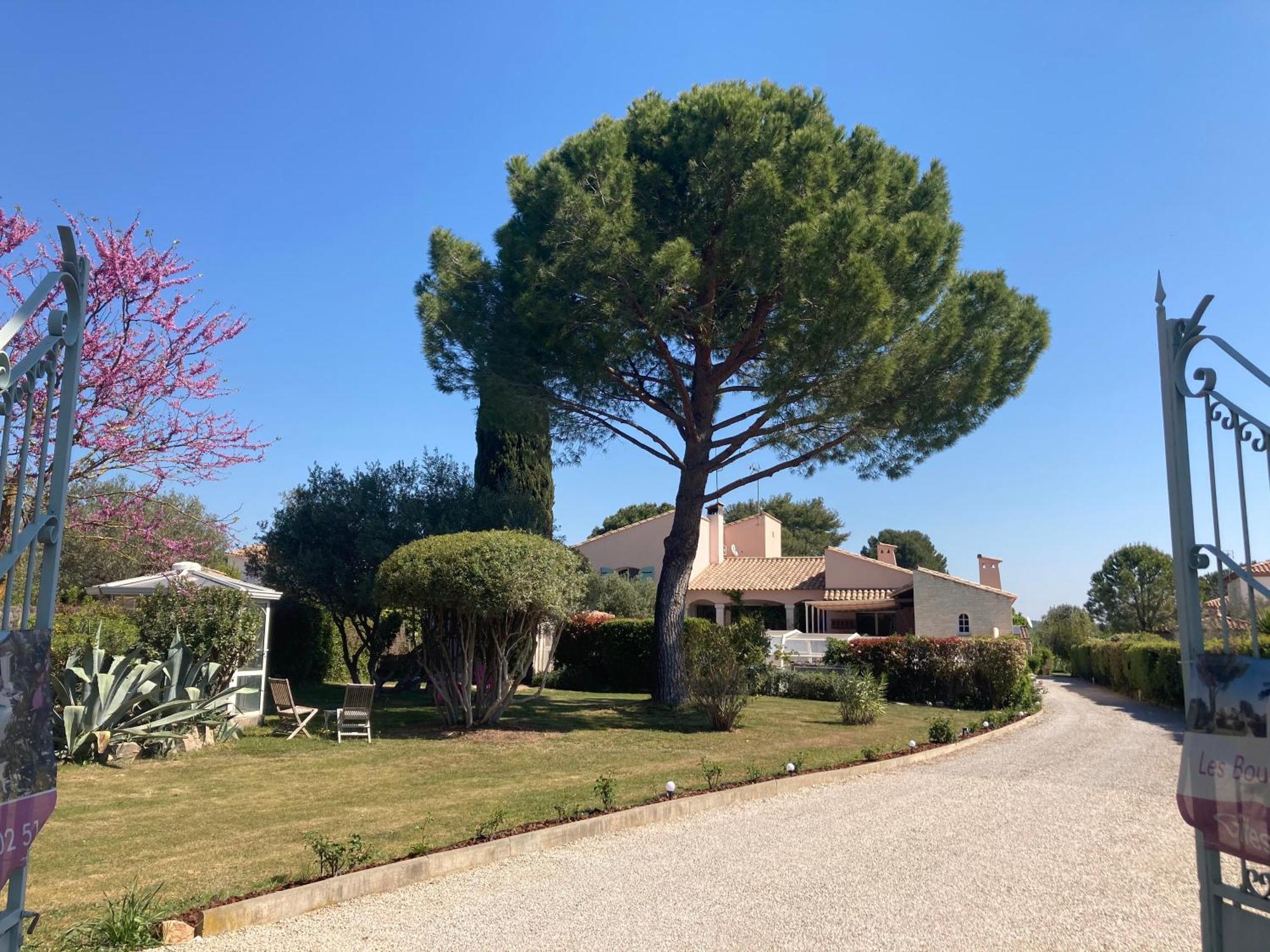 Les Bougainvillees De Camargue Villetelle Екстериор снимка