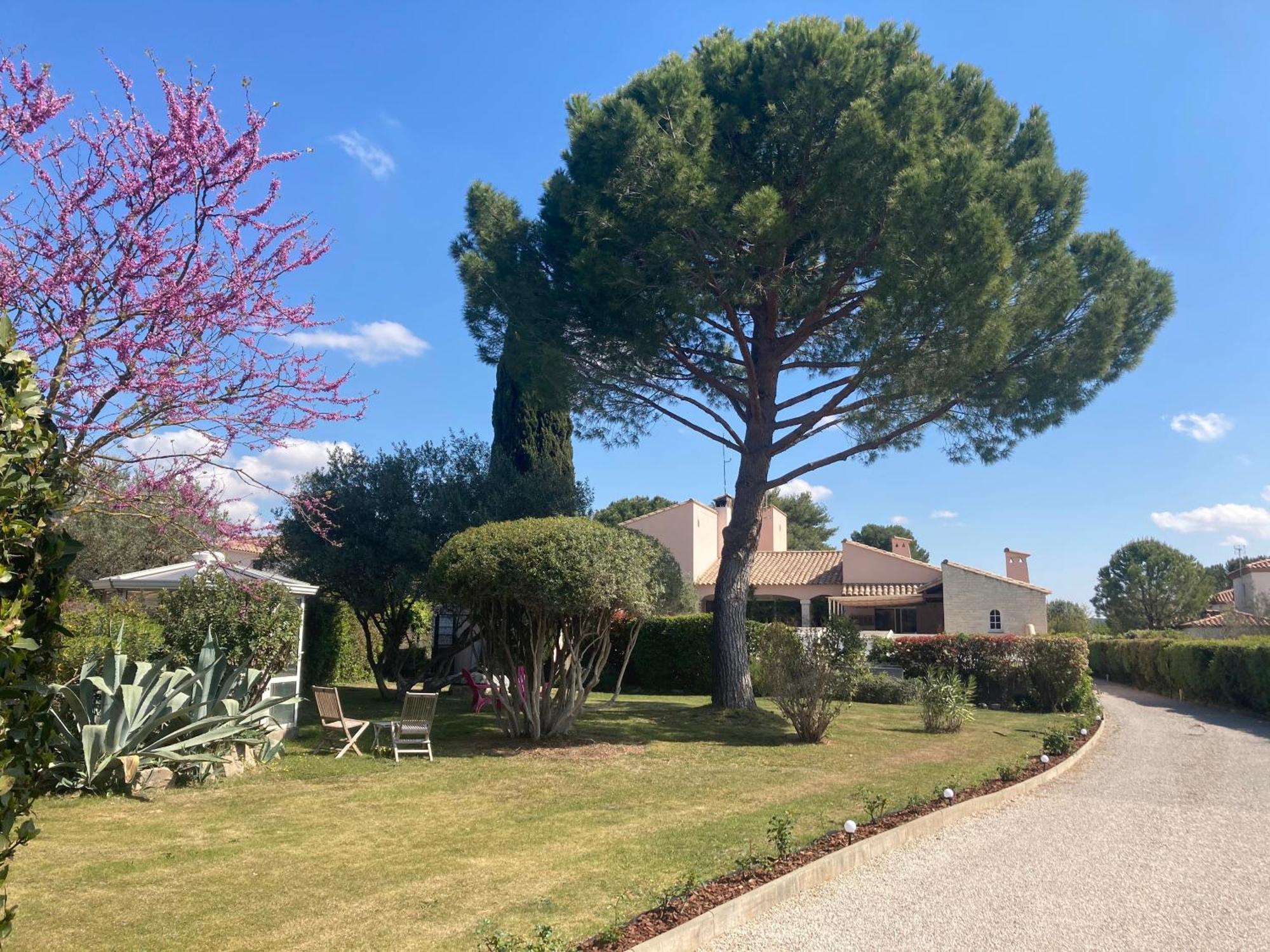 Les Bougainvillees De Camargue Villetelle Екстериор снимка